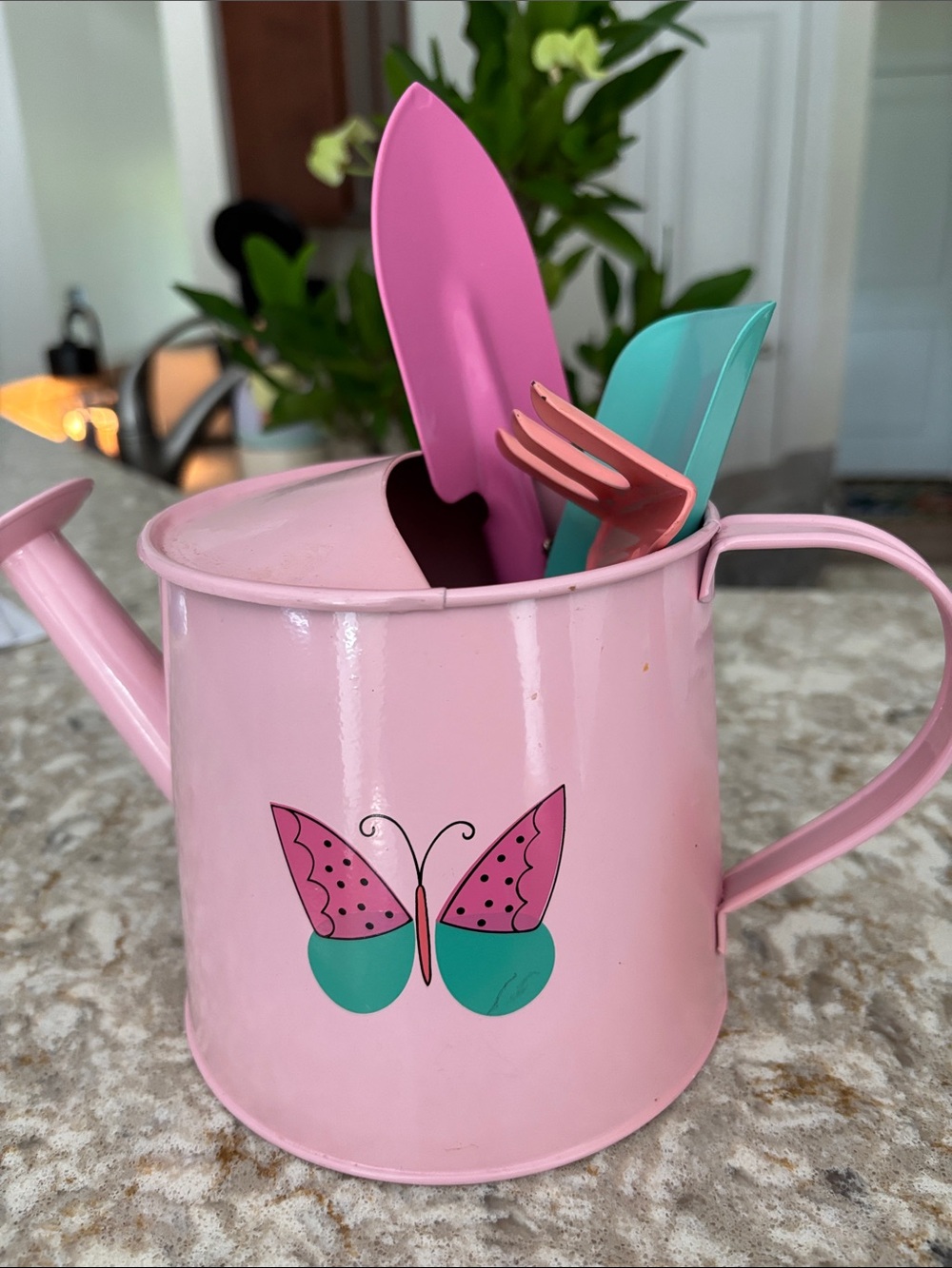 Pink Butterfly Watering Can with Teal Accents